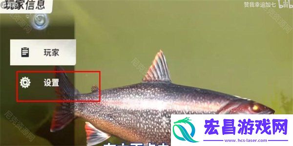 礼包码使用位置介绍