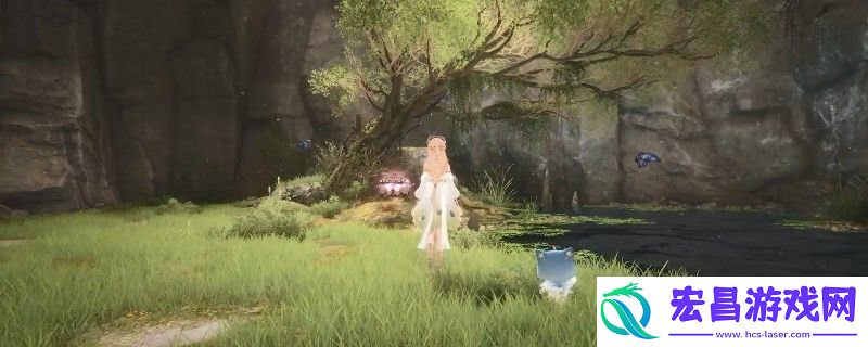 无限暖暖照片调查逃课的苦修派怎么做
