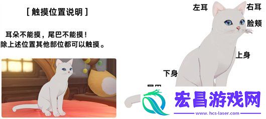 4.5猫茸茸城堡活动攻略大全