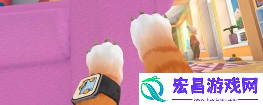 我是猫游戏配置要求介绍