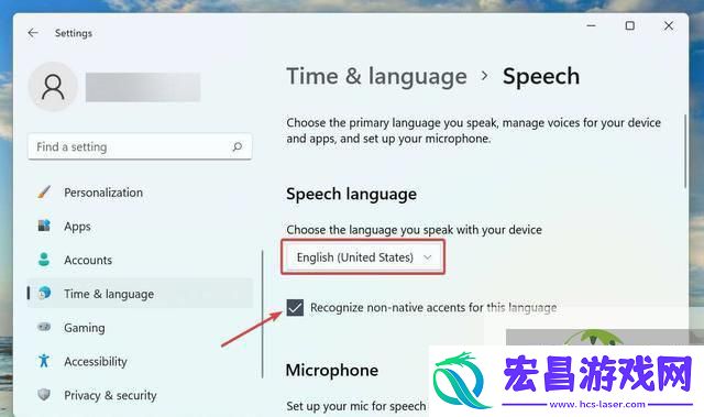Win11无法使用语音输入解决方法