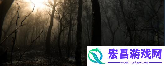 DIGESTED下载安装教程介绍