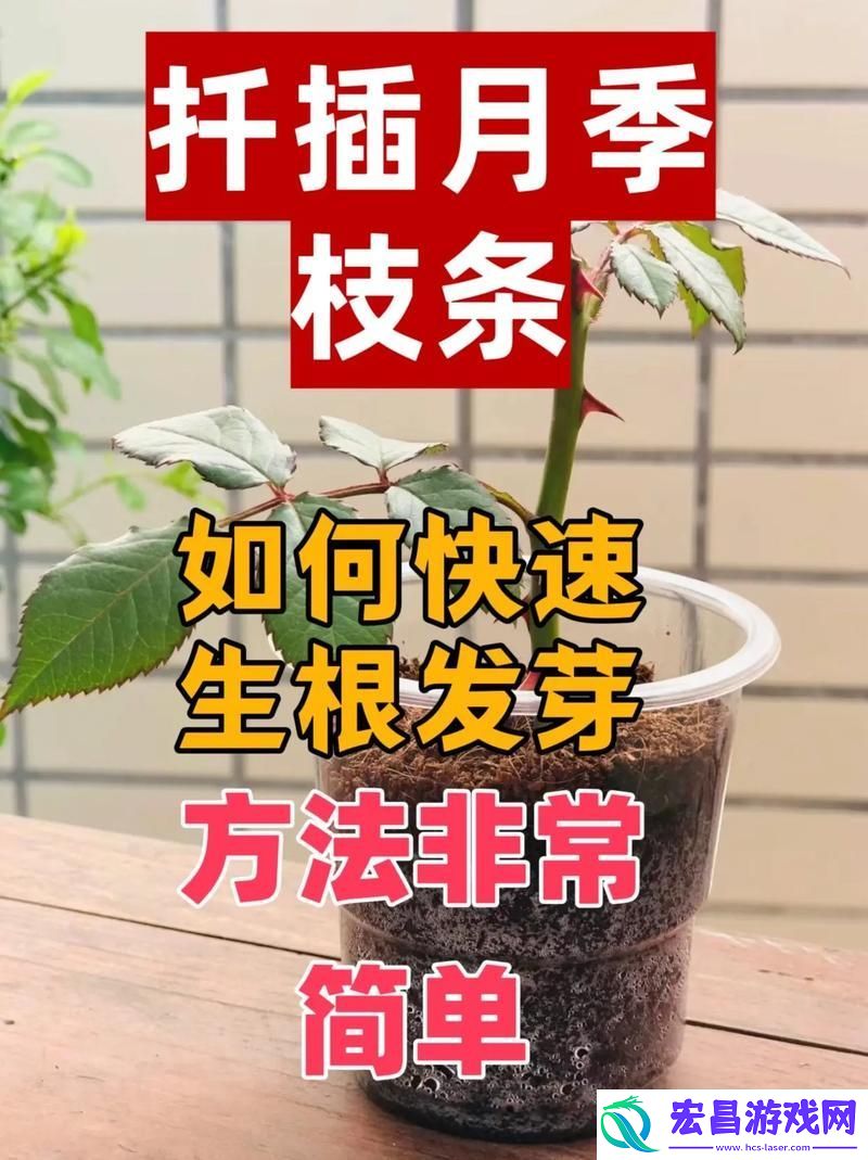 教你轻松绿化小空间