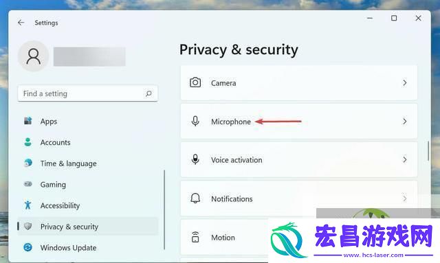 Win11无法使用语音输入解决方法