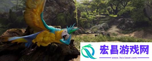 海盗VR