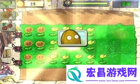 友