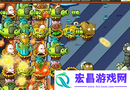 pvz杂交版英雄模式终极计划通关详解