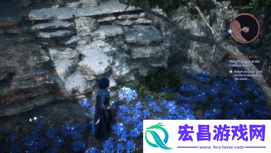 龙腾世纪