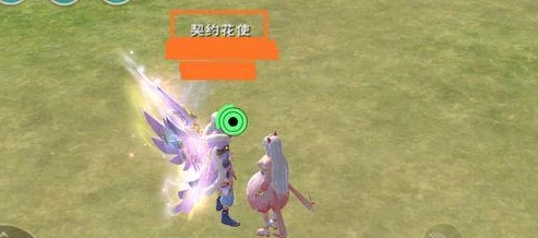 深入探索创造与魔法