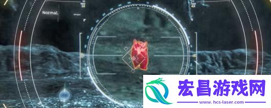 奇异贤伴