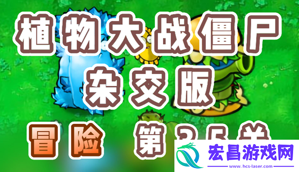 植物大战僵尸杂交版冒险35关怎么过