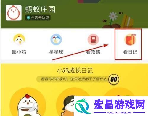 挑选开心果时