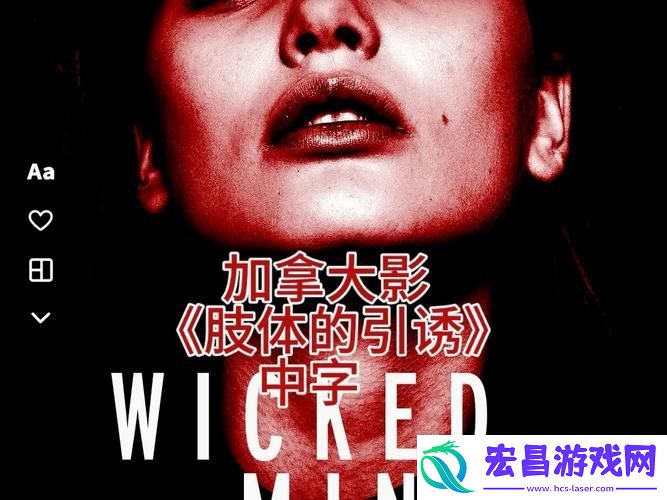 网友