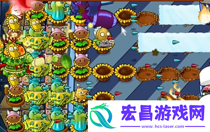 pvz杂交版英雄模式全息大脑的秘密过关攻略