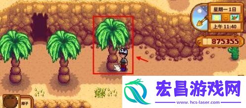 金椰子获取攻略