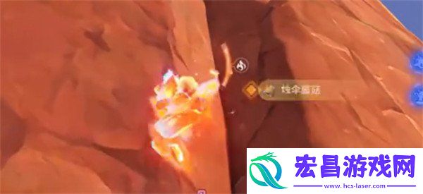 任务流程分享