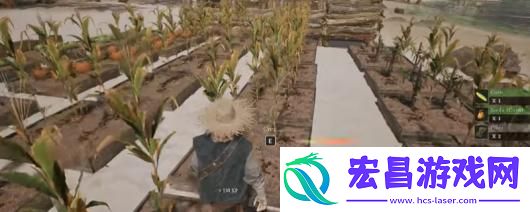 落日余晖游戏类型介绍