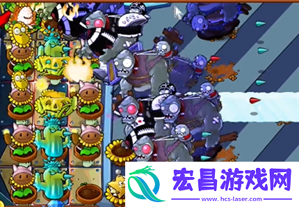 pvz杂交版英雄模式全息大脑的秘密过关攻略