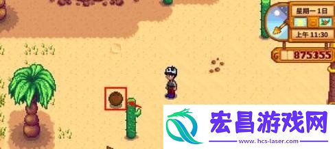 金椰子获取攻略