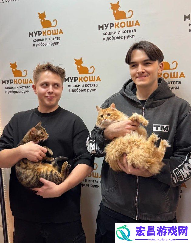 Boombl4等人为猫咪收容所捐赠猫粮
