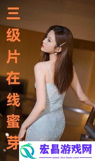 网友