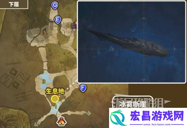 带卵弓鳍鱼用什么饵