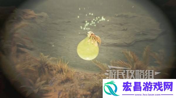 大回复蜜虫捕获路线