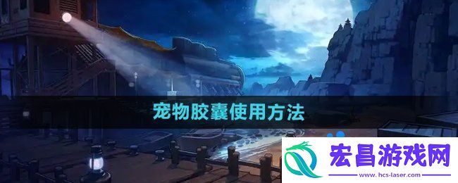 dnf宠物封印胶囊怎么使用
