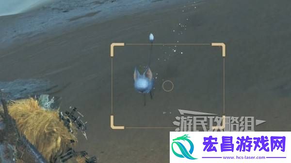 沙野流星位置