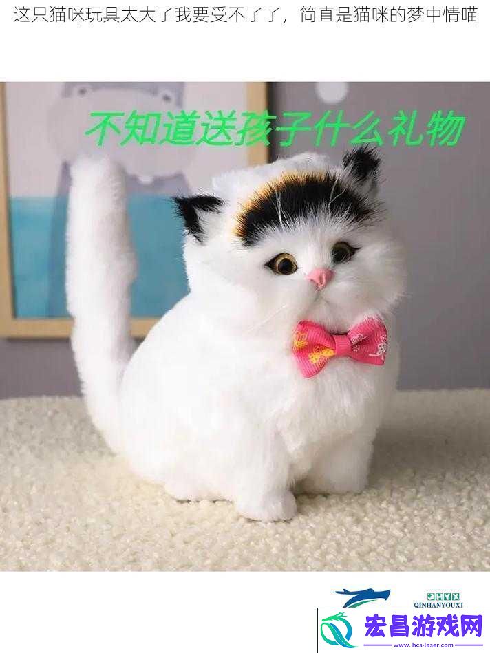 这只猫咪玩具太大了我要受不了了简直是猫咪的梦中情喵