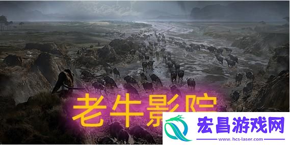 内容多样三亚老牛影院在线观看