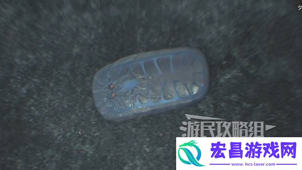大虚无动捕获攻略