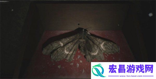 寂静岭2重制版答案介绍