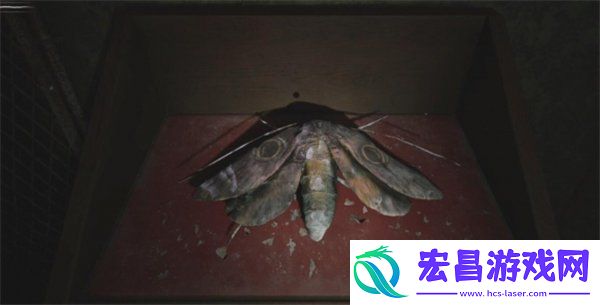 寂静岭2重制版答案介绍
