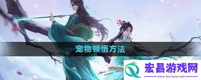 宠物顿悟方法