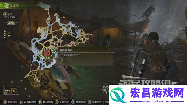 钓黄金鱼位置一览
