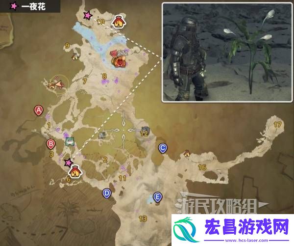 怪物猎人荒野一夜花的月华粉位置及获取途径一览