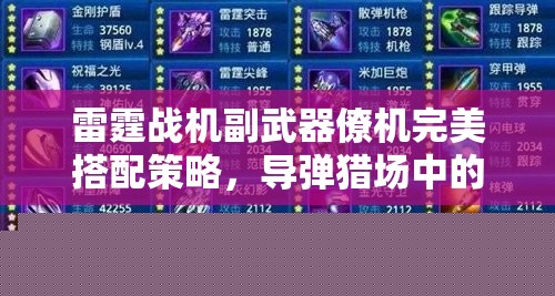 雷霆战机副武器搭配策略