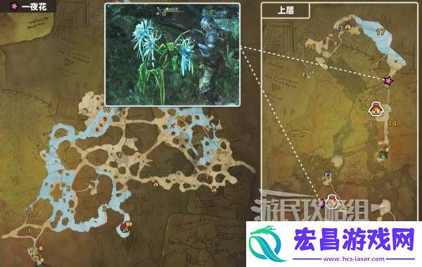 怪物猎人荒野一夜花的月华粉位置及获取途径一览