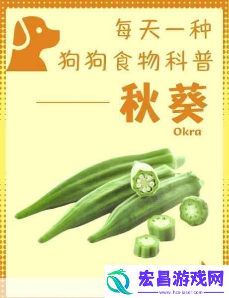 夏日清爽