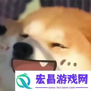 你人还怪好嘞意思介绍
