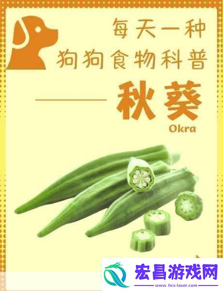 夏日清爽