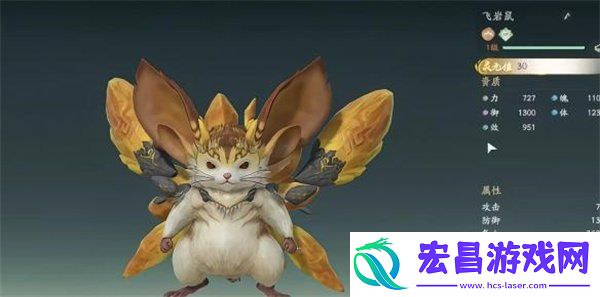前期宠物推荐