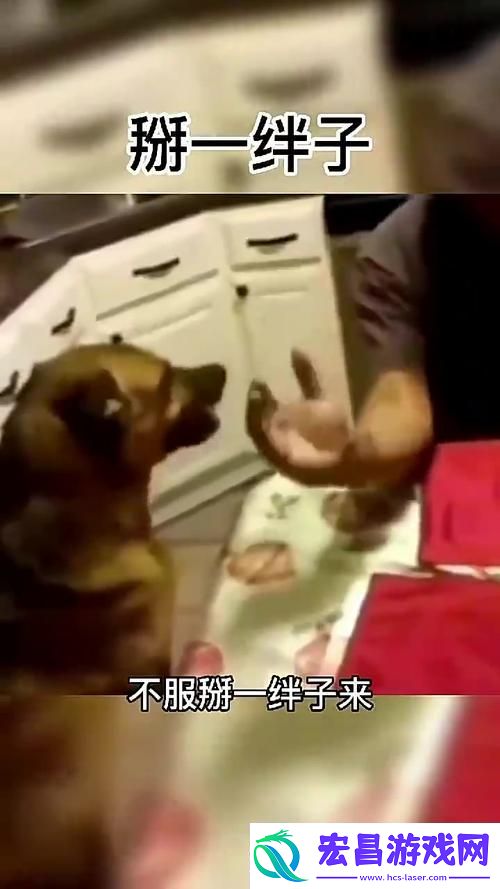 人狗大战9免费观看正版