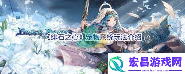 绯石之心宠物系统玩法介绍