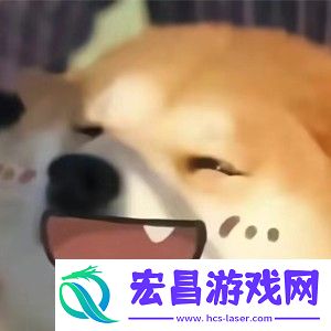 你人还怪好嘞意思介绍