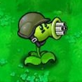 植物大战僵尸植物图鉴植物大战僵尸植物图鉴大全