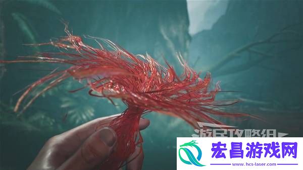 全章节任务流程攻略