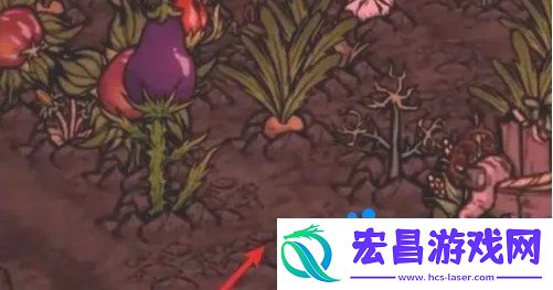种地方法介绍