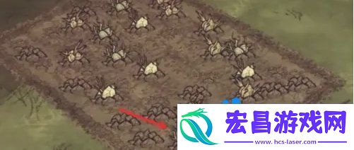 种地方法介绍